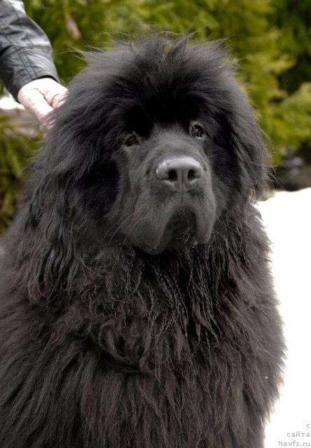 Фотография № 92192