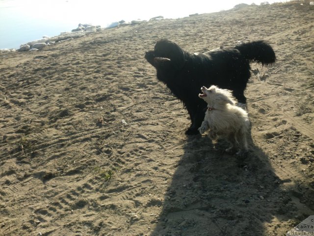 Фотография № 92240