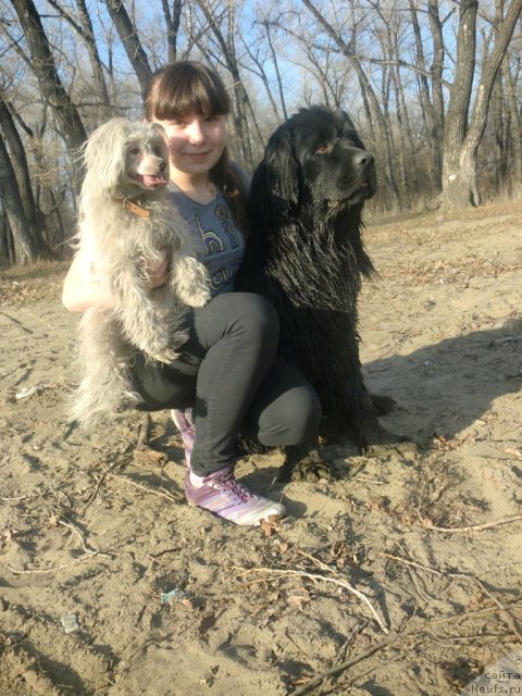 Фотография № 92243