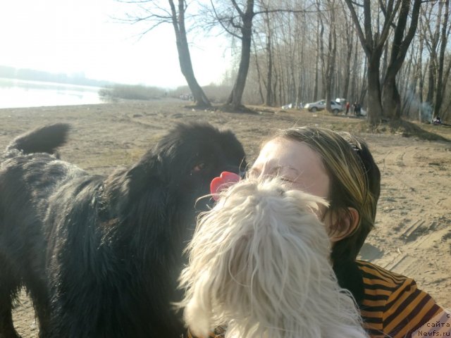 Фотография № 92244