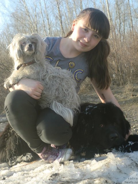 Фотография № 92245