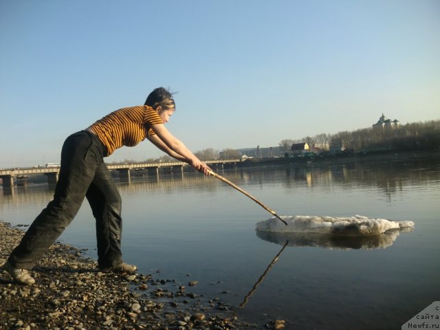 Фотография № 92246