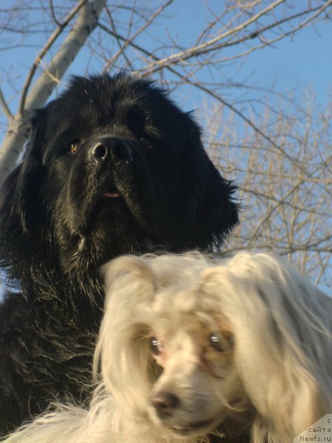 Фотография № 92249