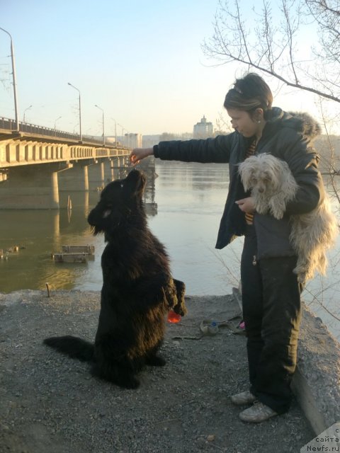 Фотография № 92250