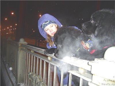 Фото: ньюфаундленд Arh B'yuti Oksi Svet (Арх Бьюти Окси Свет), ньюфаундленд Charuyuschaya Noch ot Marleon Dusvik (Чарующая Ночь от Марлеон Дусвик), Anastasiya Mischenko (Анастасия Мищенко)