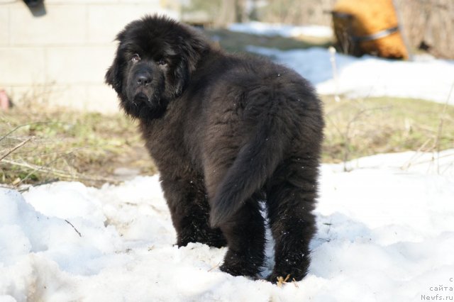 Фотография № 92323