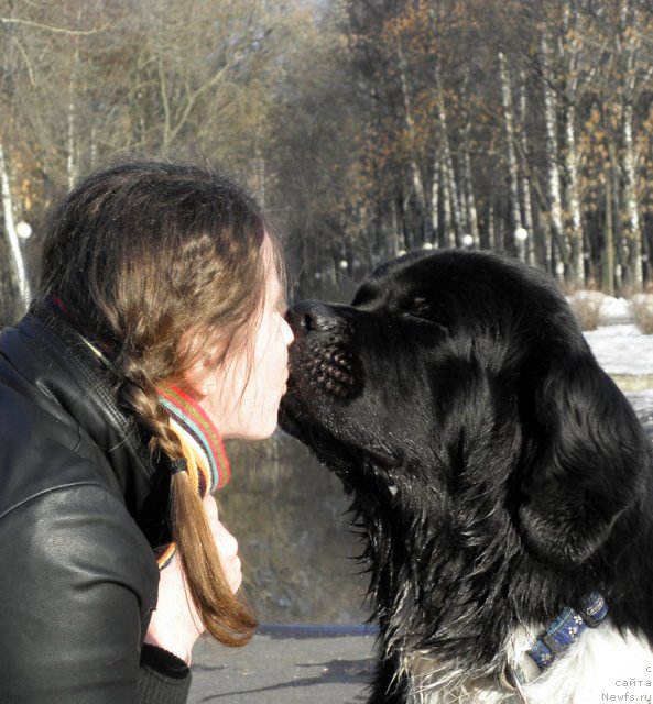 Фотография № 92330