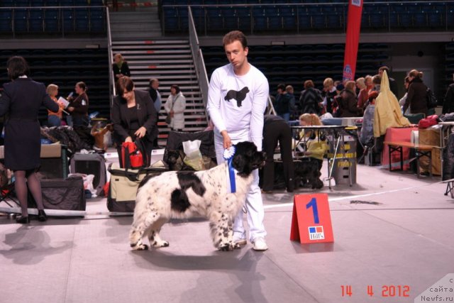 Фотография № 92349