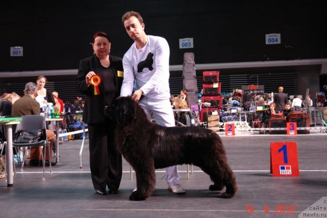 Фотография № 92350