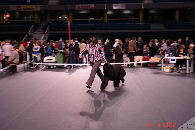 Фотография № 92394