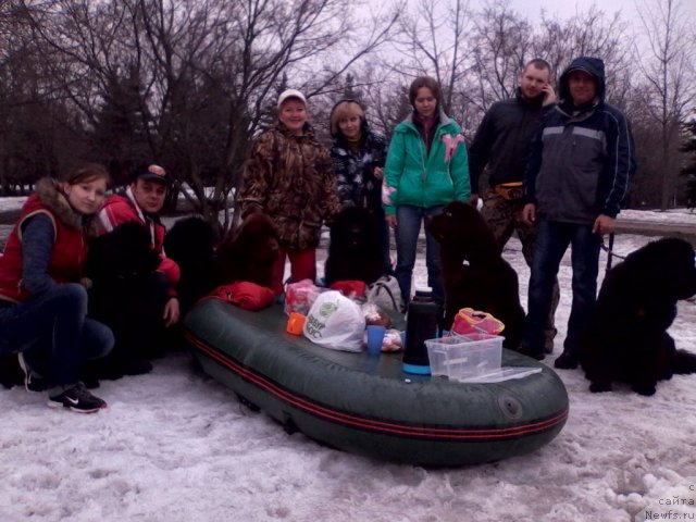 Фотография № 92395