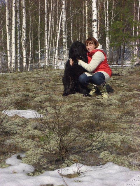 Фото: ньюфаундленд Andjel Viktorius (Анджел Викториус), Лиля