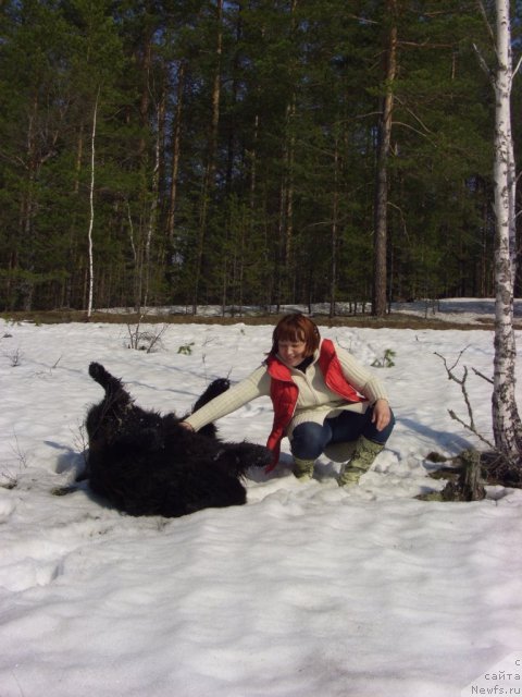 Фото: ньюфаундленд Andjel Viktorius (Анджел Викториус), Лиля