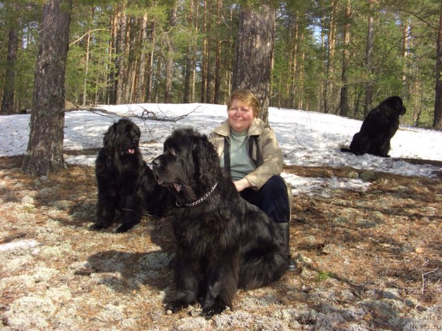 Фото: ньюфаундленд Akin Soul Sofiya (Акин Соул София), ньюфаундленд Lesnaya Skazka Lunnaya Sonata (Лесная Сказка Лунная Соната), Tat'yana Prusova (Татьяна Прусова)