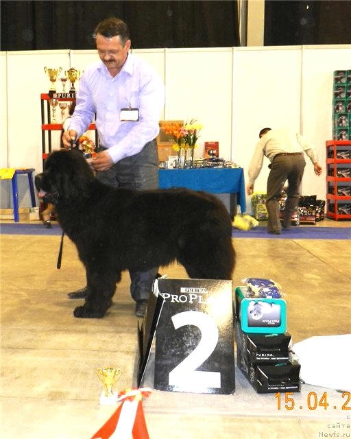 Фотография № 92440