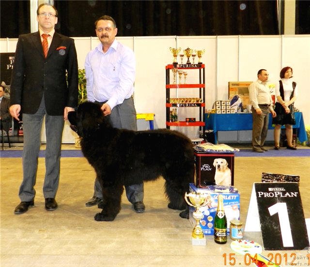 Фотография № 92441