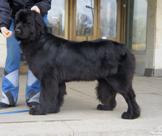 Фотография № 92444