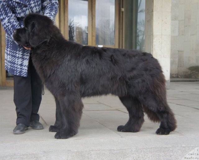 Фотография № 92446