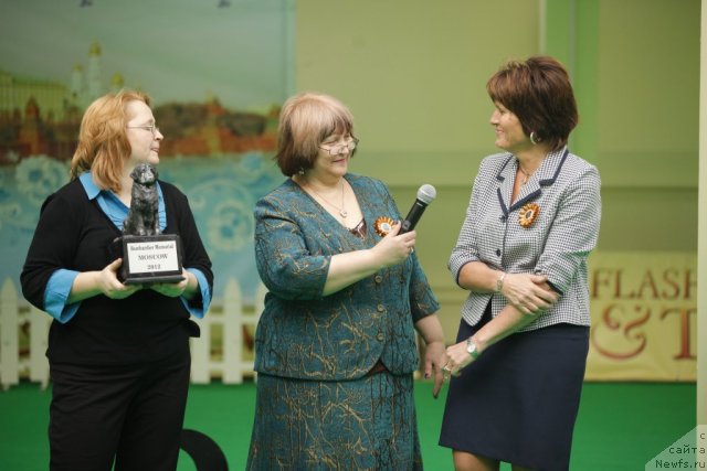 Фотография № 92450