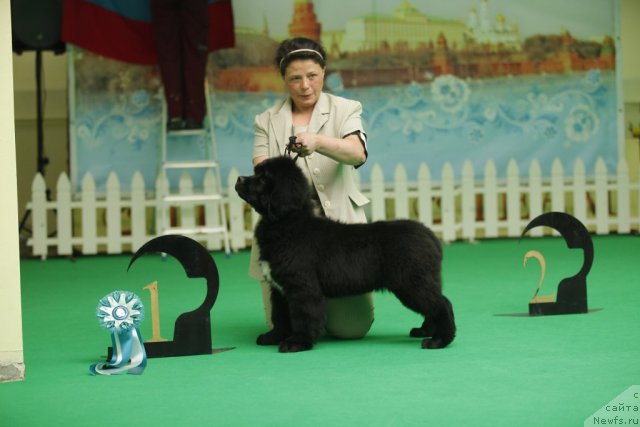 Фотография № 92466