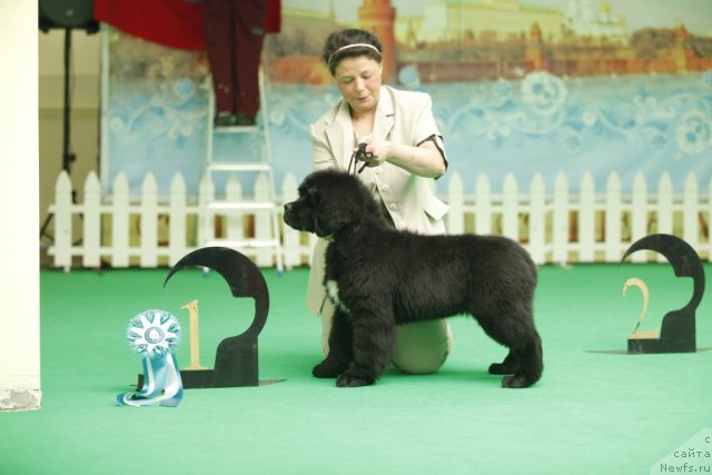 Фотография № 92467