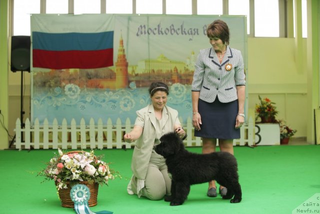 Фотография № 92470