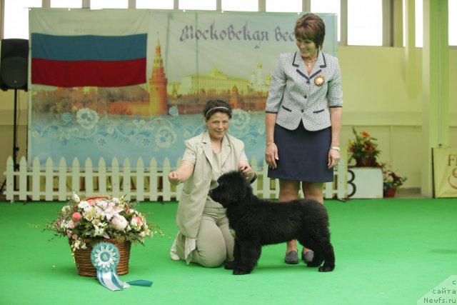 Фотография № 92471