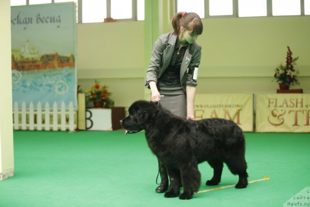 Фотография № 92474