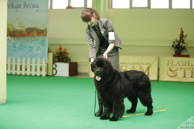 Фотография № 92476