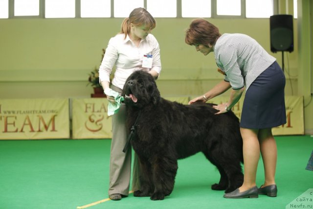 Фотография № 92481