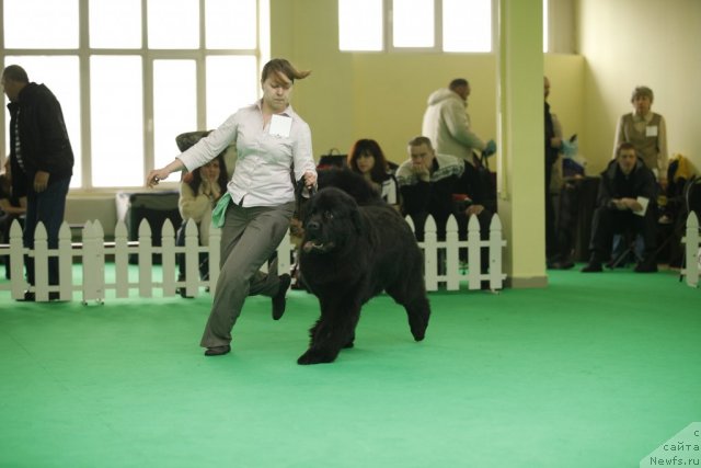 Фотография № 92482