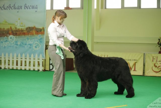 Фотография № 92483