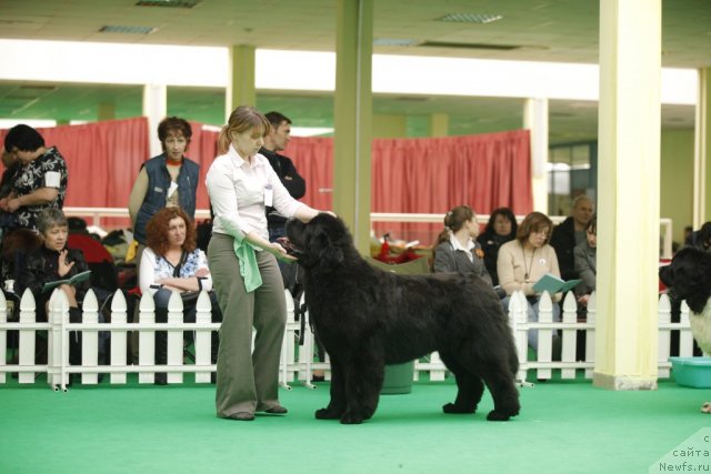 Фотография № 92486