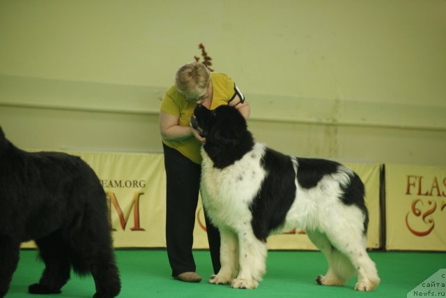 Фотография № 92489