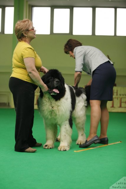 Фотография № 92491