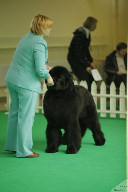 Фотография № 92494