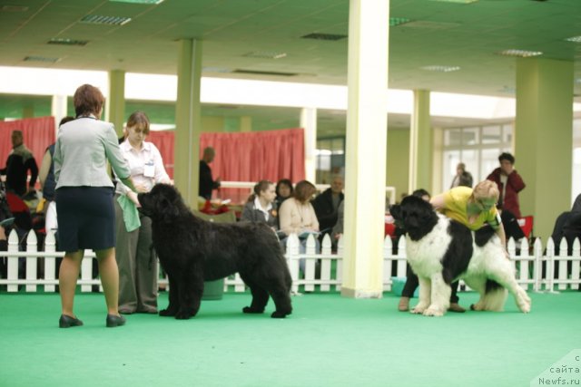 Фотография № 92500