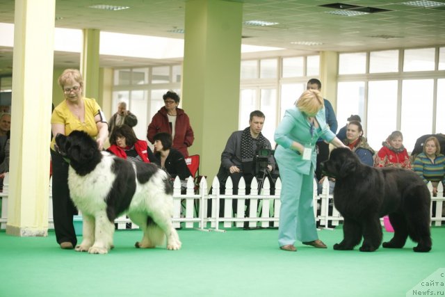 Фотография № 92504