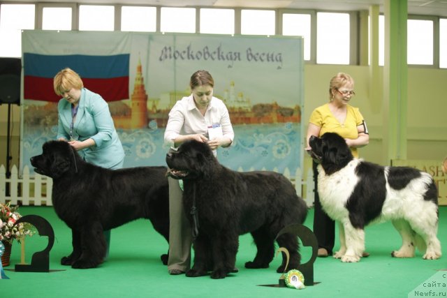 Фотография № 92506