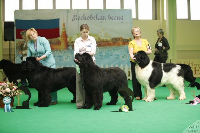 Фотография № 92507