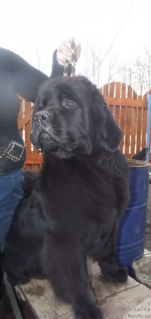 Фотография № 92514