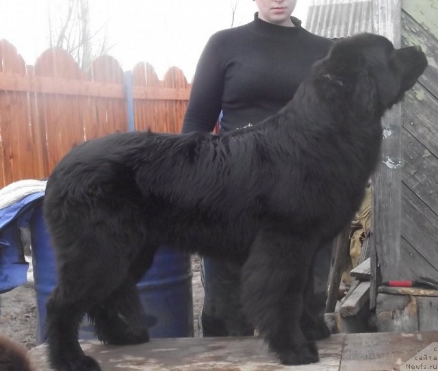 Фотография № 92515