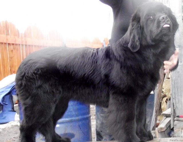 Фотография № 92516