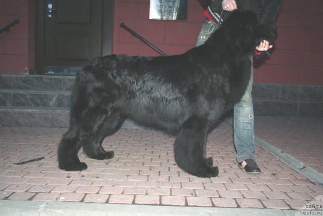 Фотография № 92525