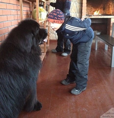 Фотография № 92527