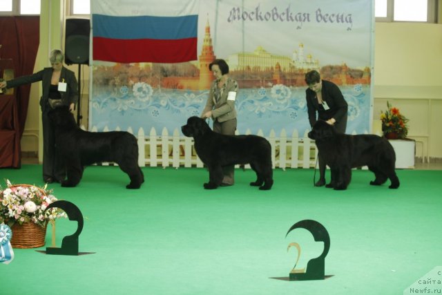 Фотография № 92562