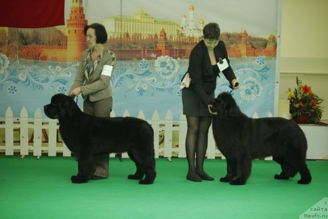 Фотография № 92563