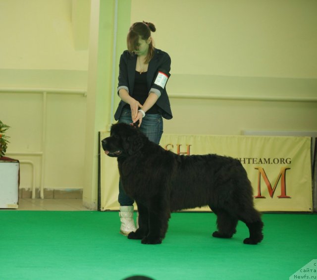 Фотография № 92565