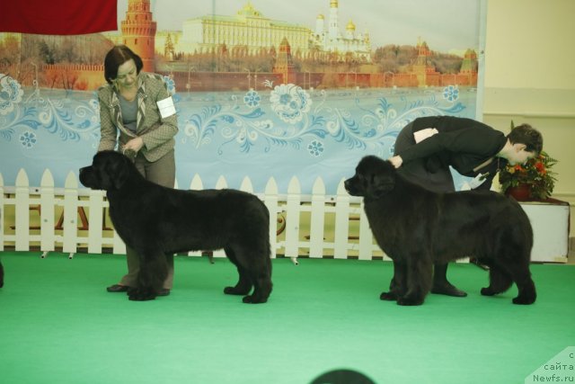 Фотография № 92566