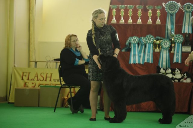 Фотография № 92567